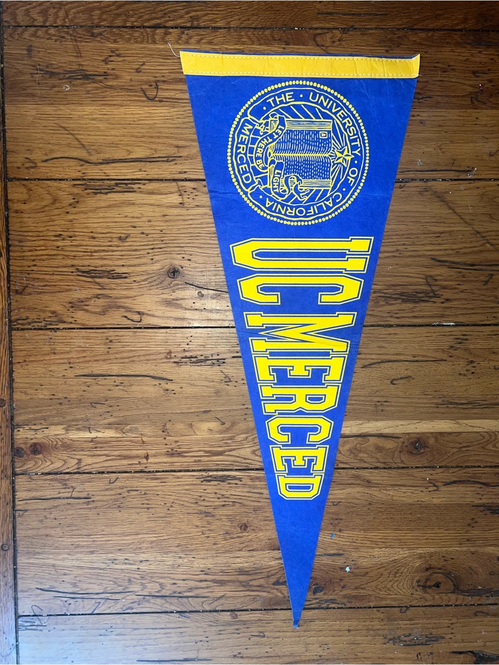 UC Merced Blue & Gold Pennant - University of California Merced 12” x 30”